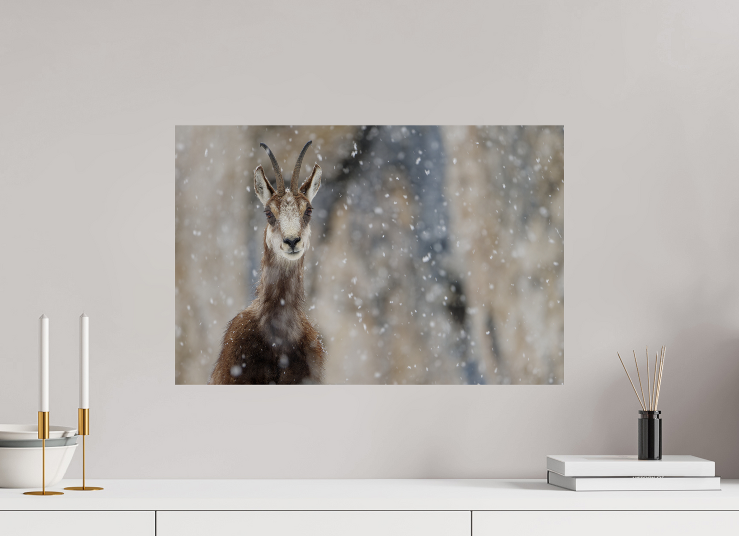 Chamois