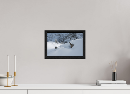 Hiver / Winter