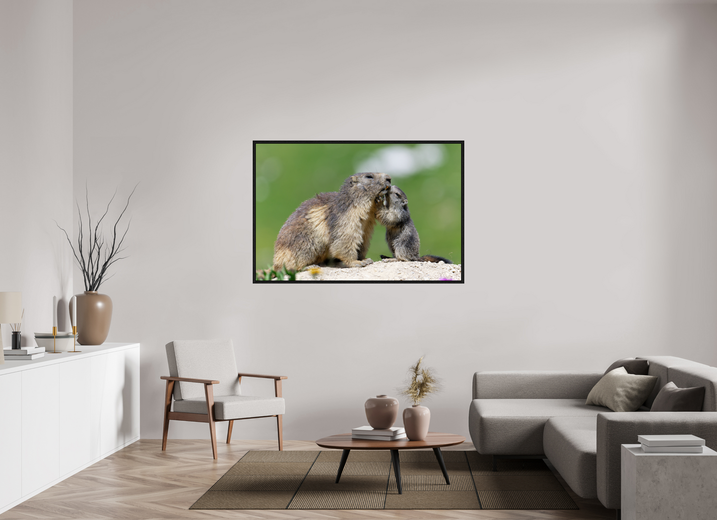 Marmotte / Groundhog