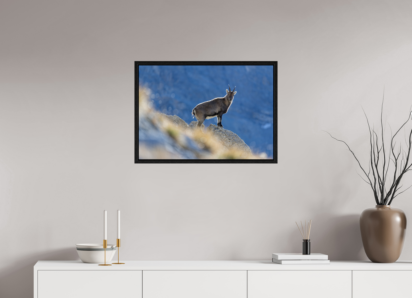 Bouquetin / Ibex
