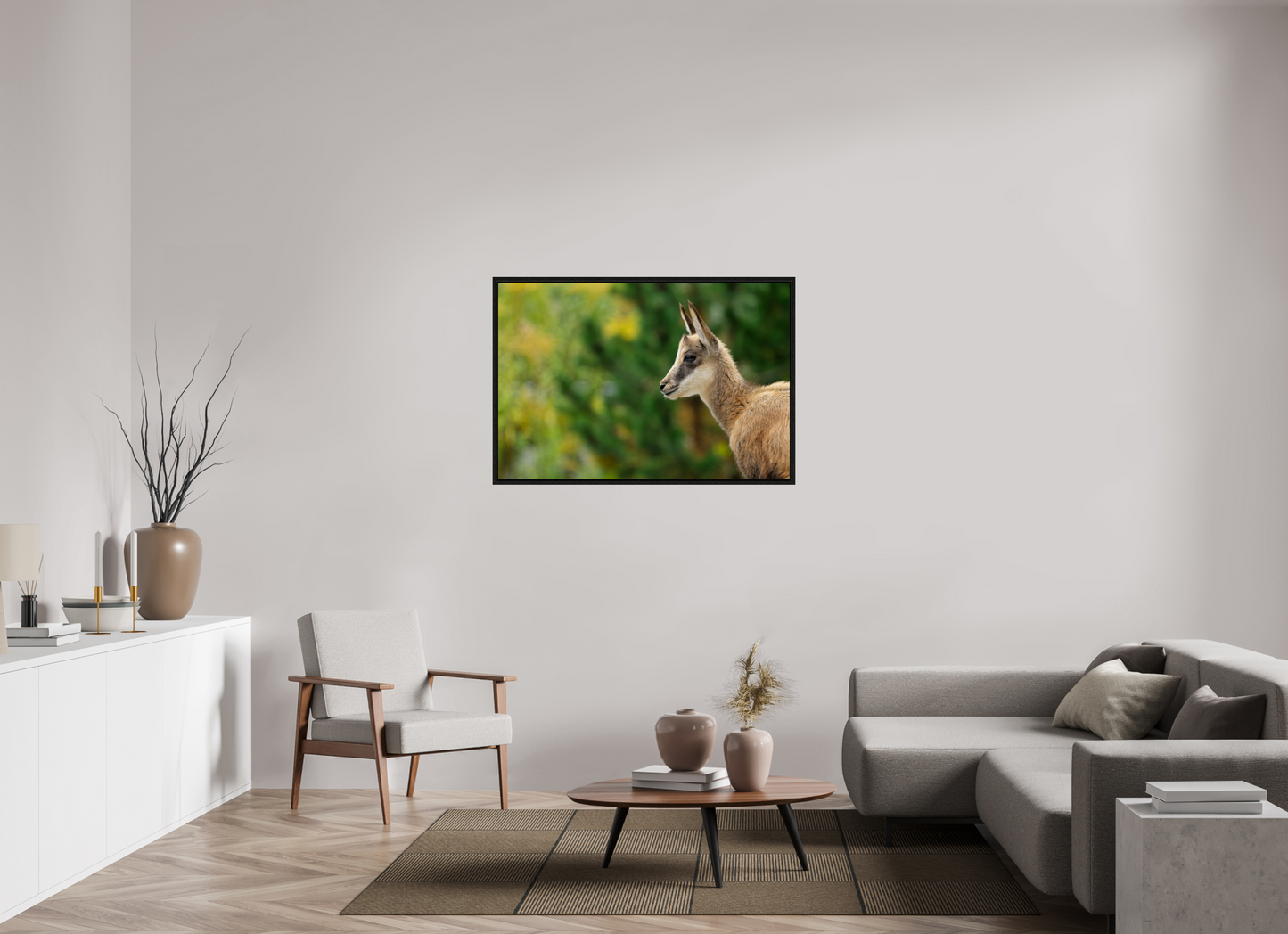 Chamois