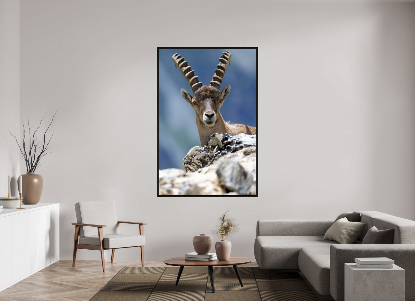 Bouquetin / Ibex