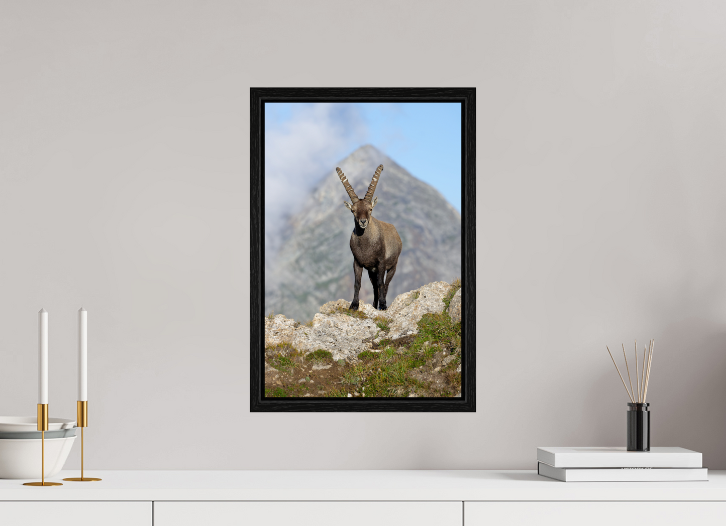 Bouquetin / Ibex