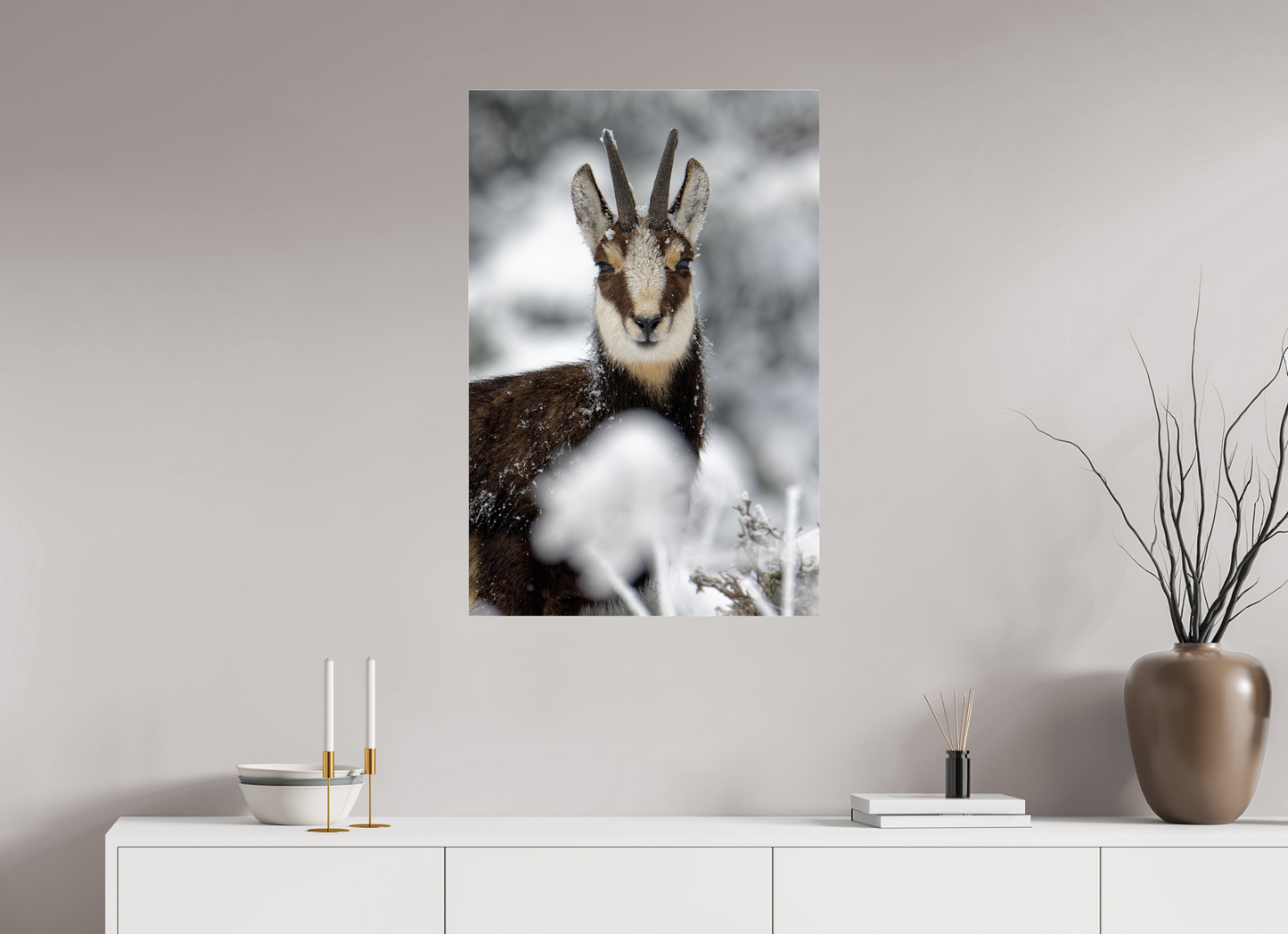Chamois
