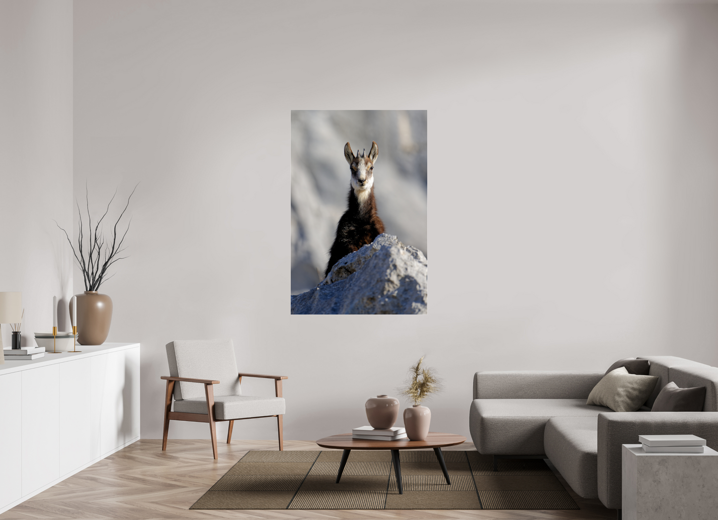 Chamois
