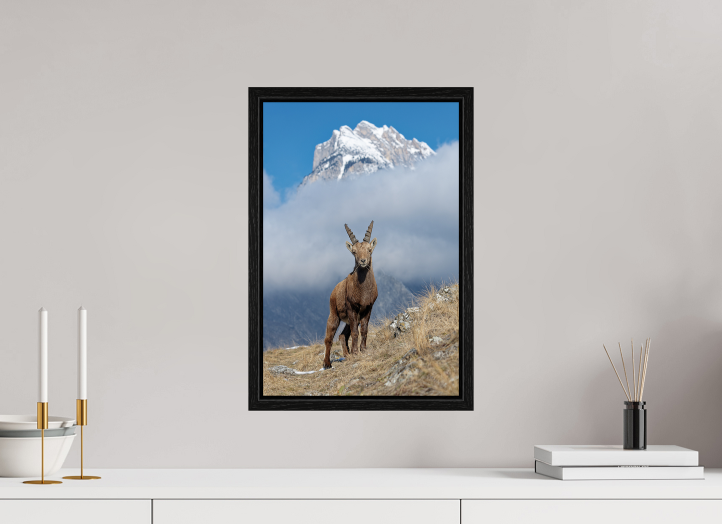 Bouquetin / Ibex