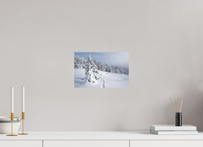 Hiver / Winter