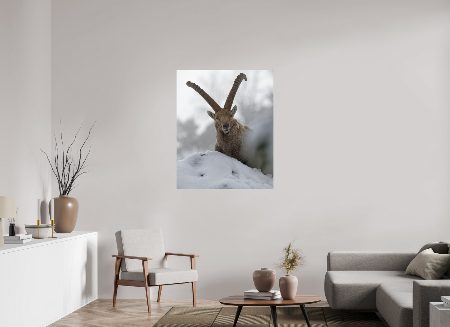 Bouquetin / Ibex