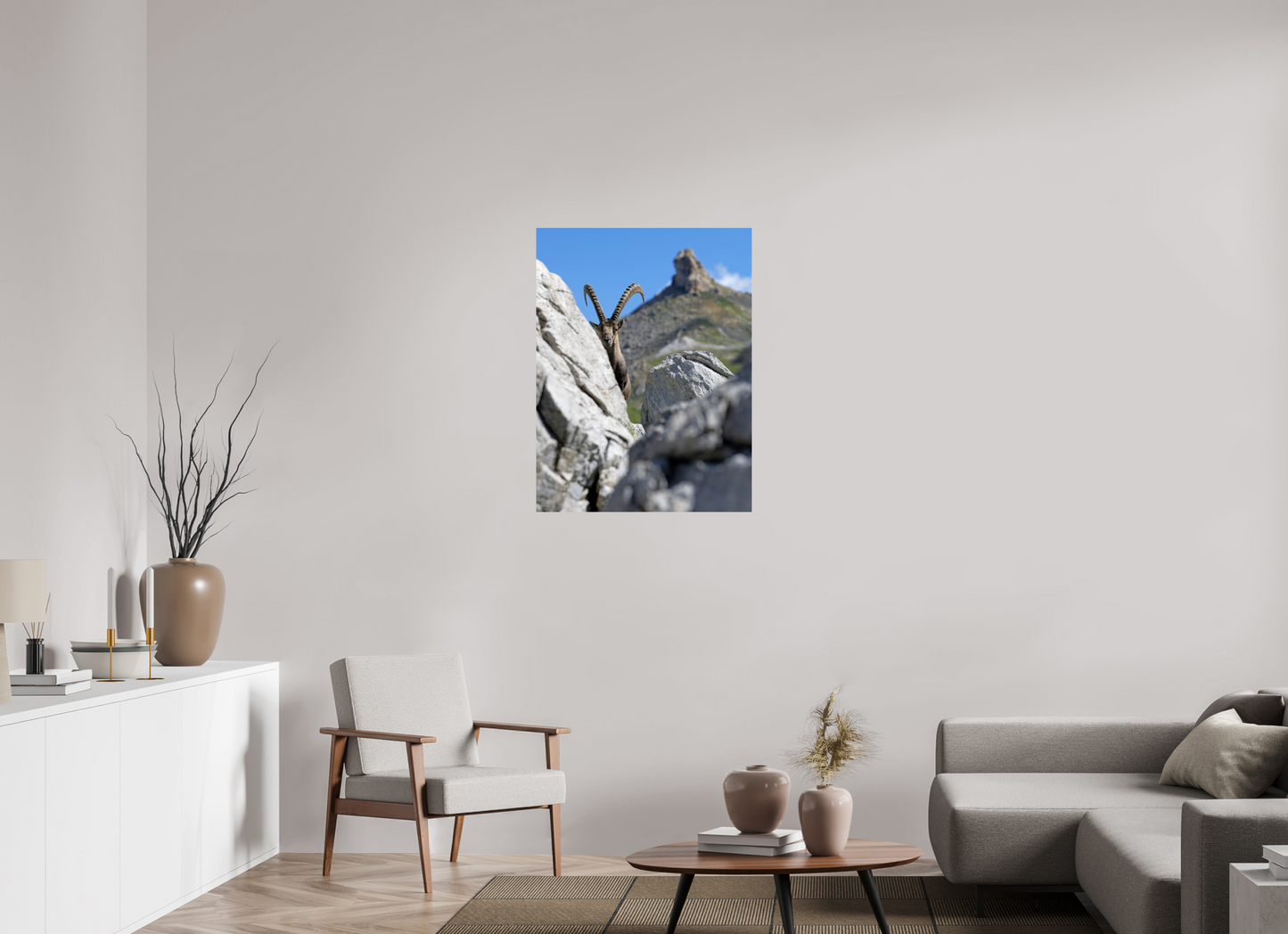 Bouquetin / Ibex