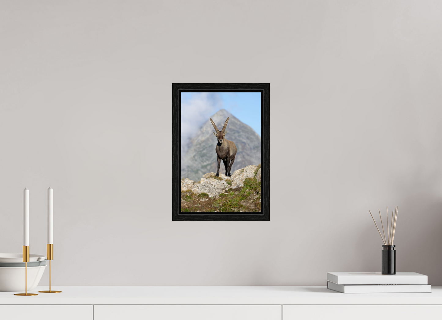 Bouquetin / Ibex