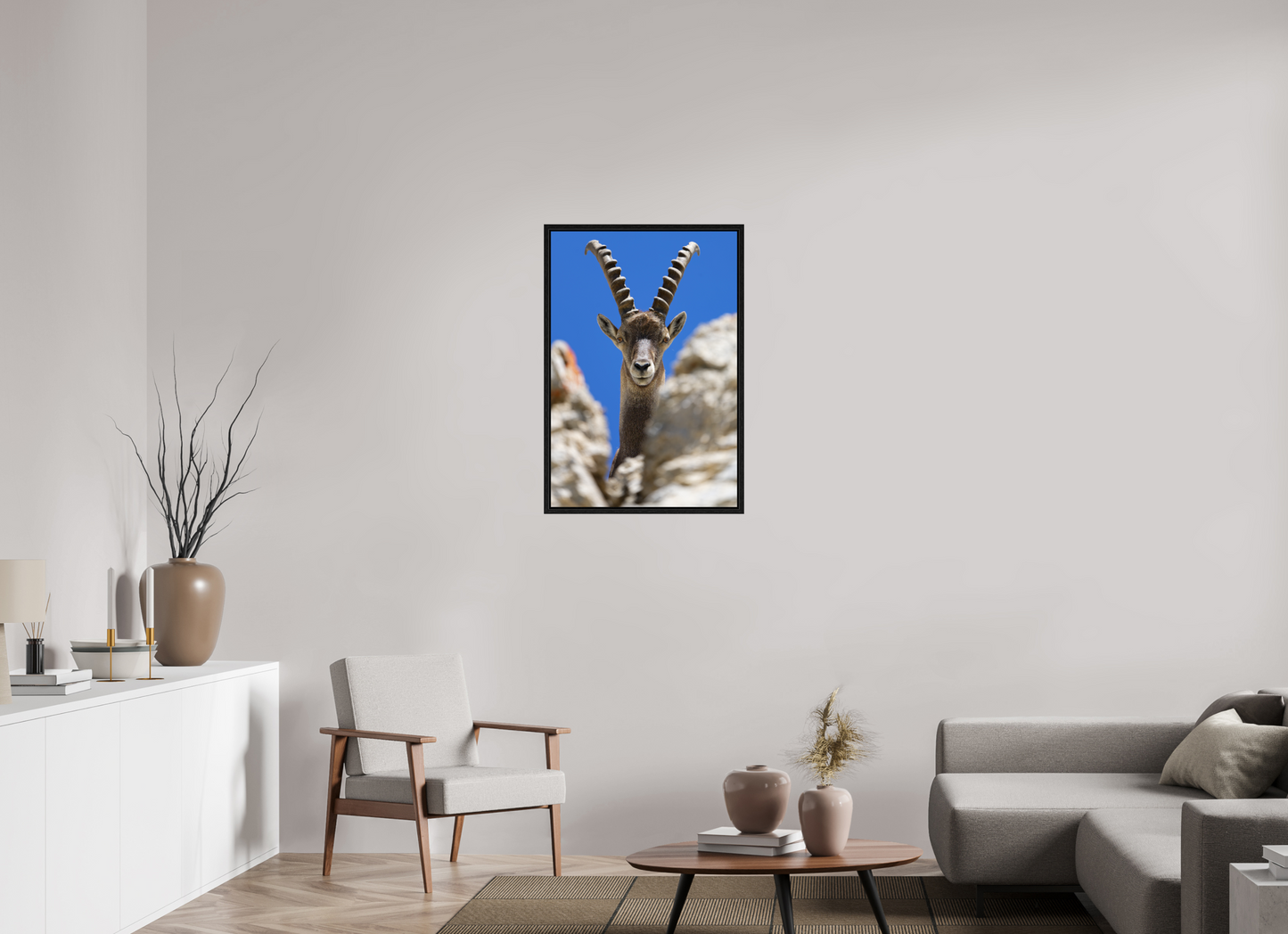 Bouquetin / Ibex