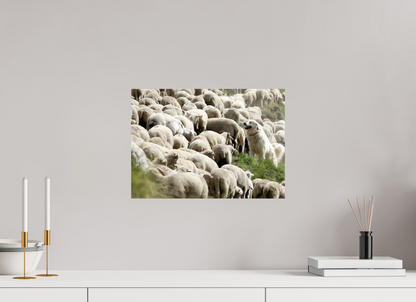Autres animaux / Other animals
