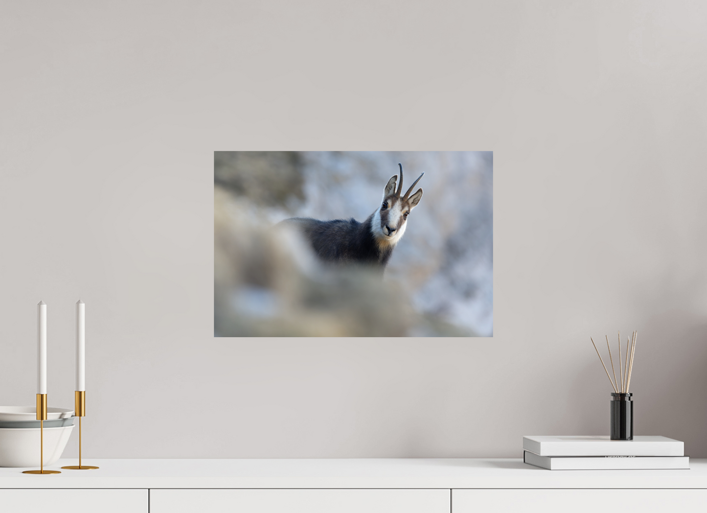 Chamois