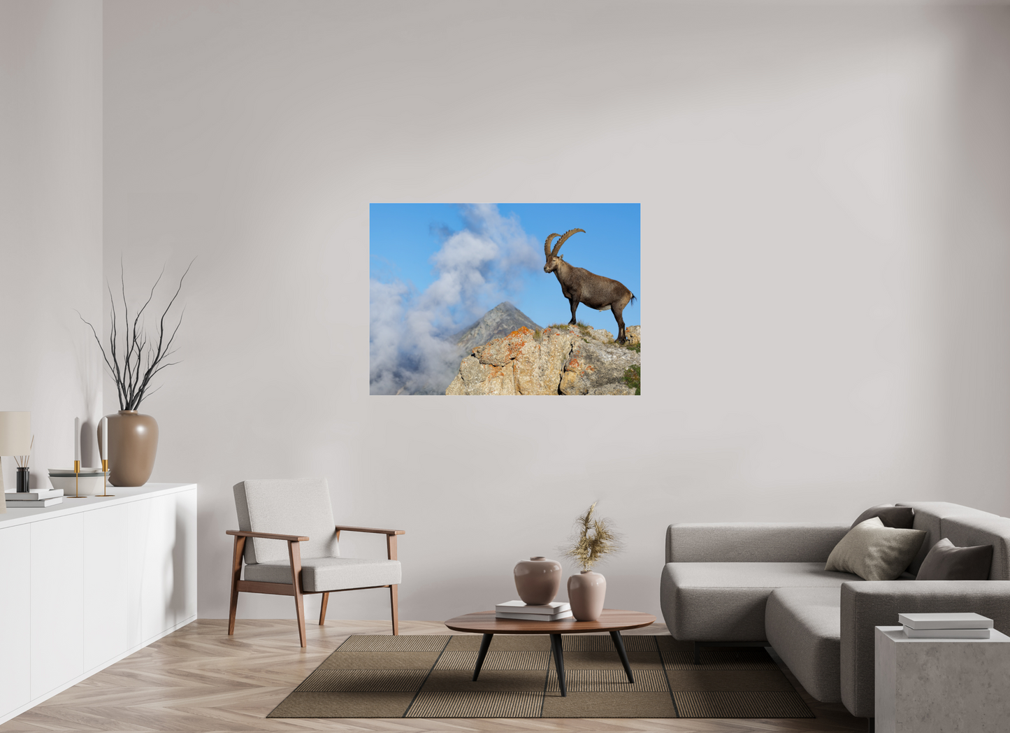 Bouquetin / Ibex