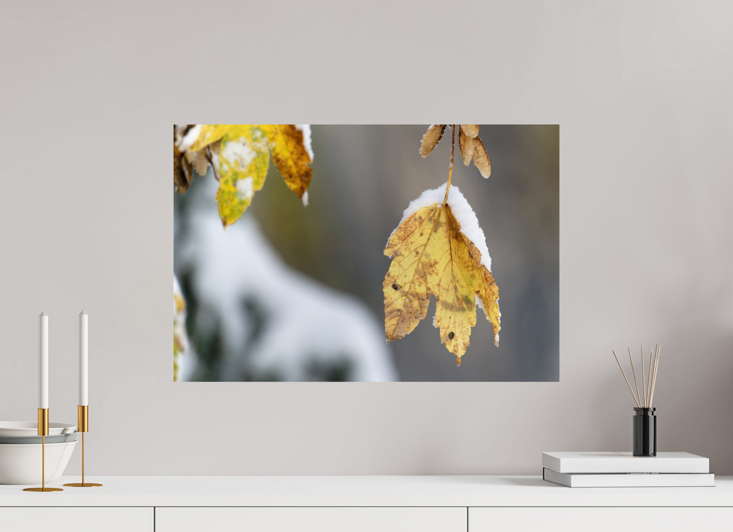 Automne / Autumn