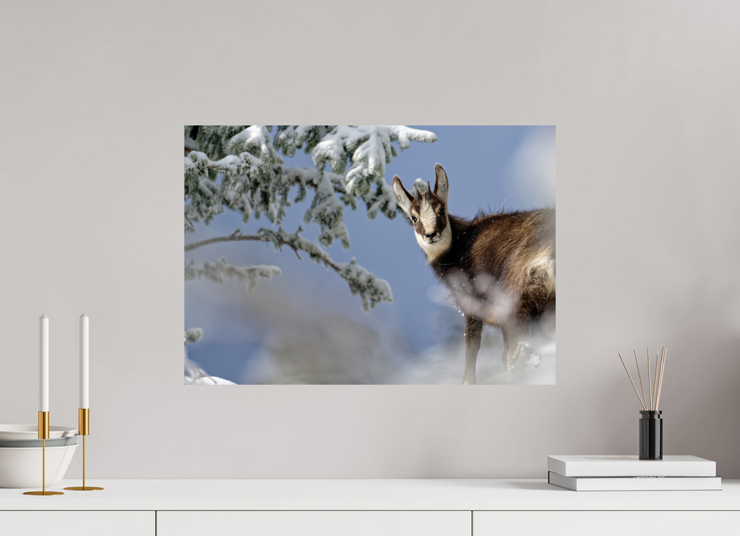 Chamois