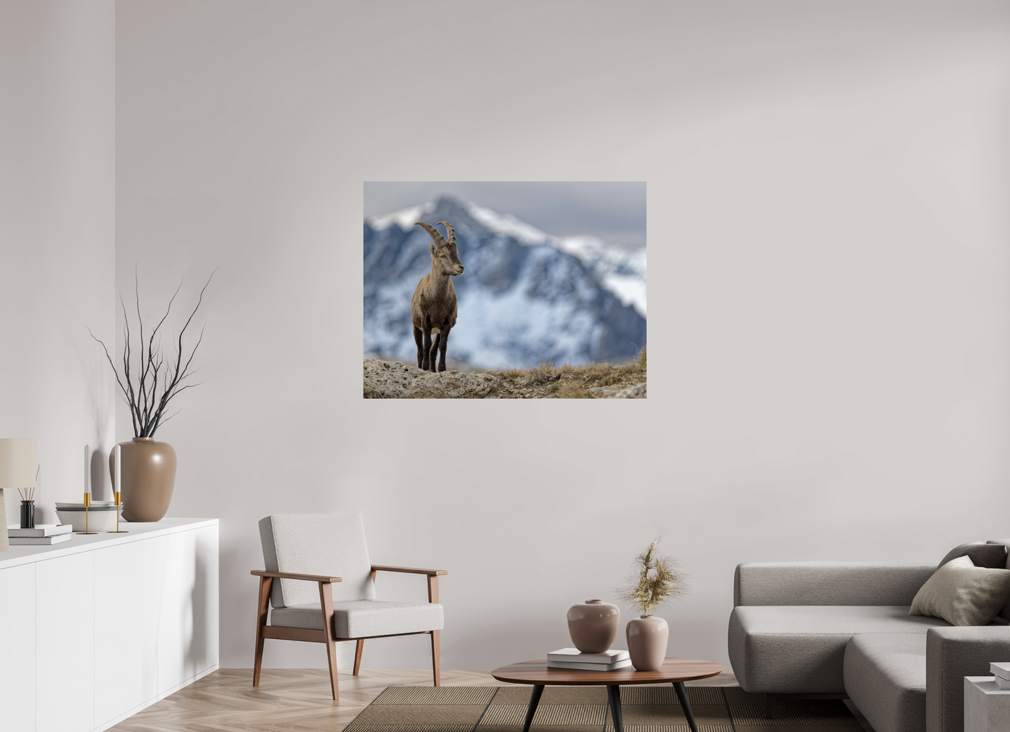 Bouquetin / Ibex
