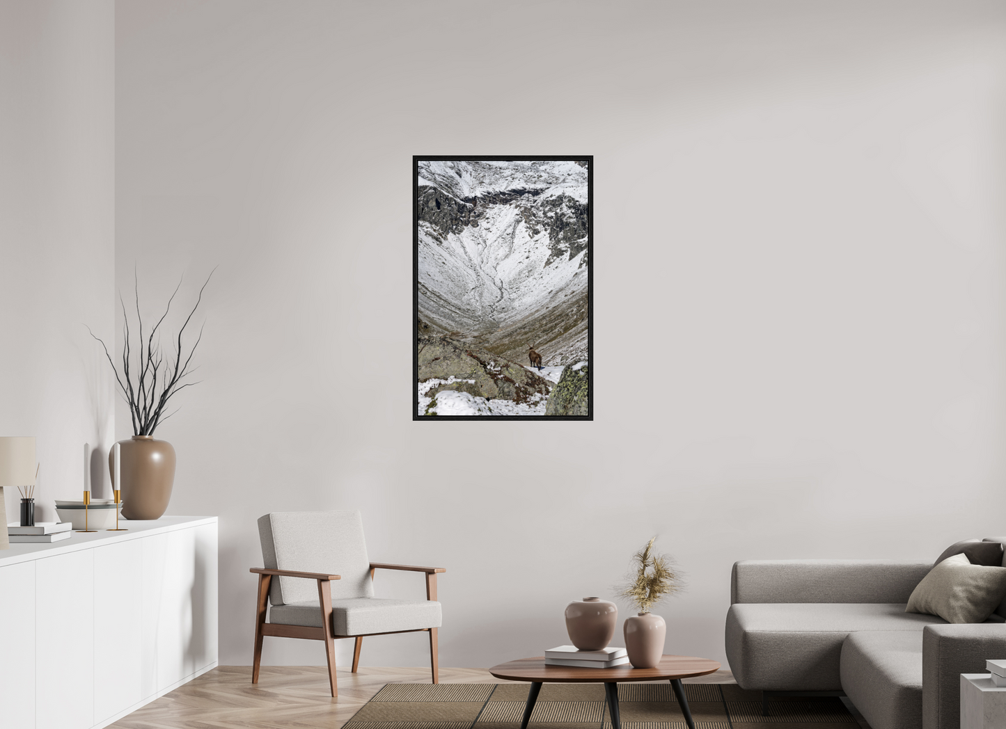 Bouquetin / Ibex