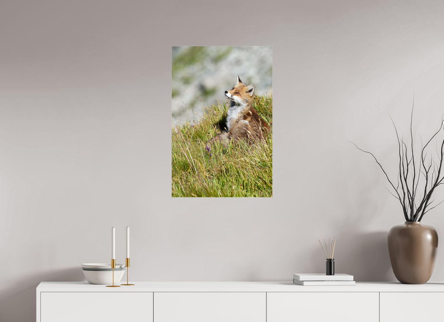 Autres animaux / Other animals