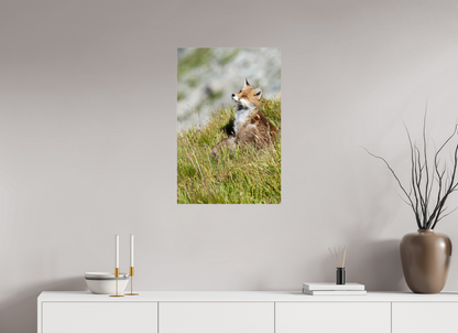 Autres animaux / Other animals
