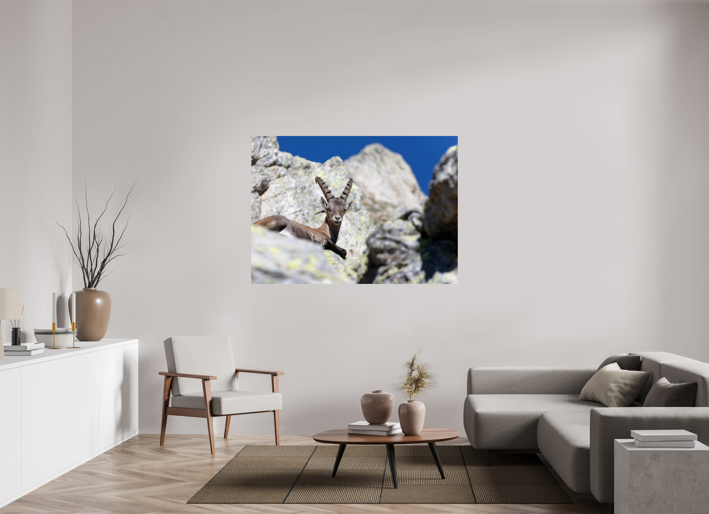 Bouquetin / Ibex