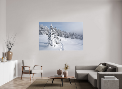 Hiver / Winter