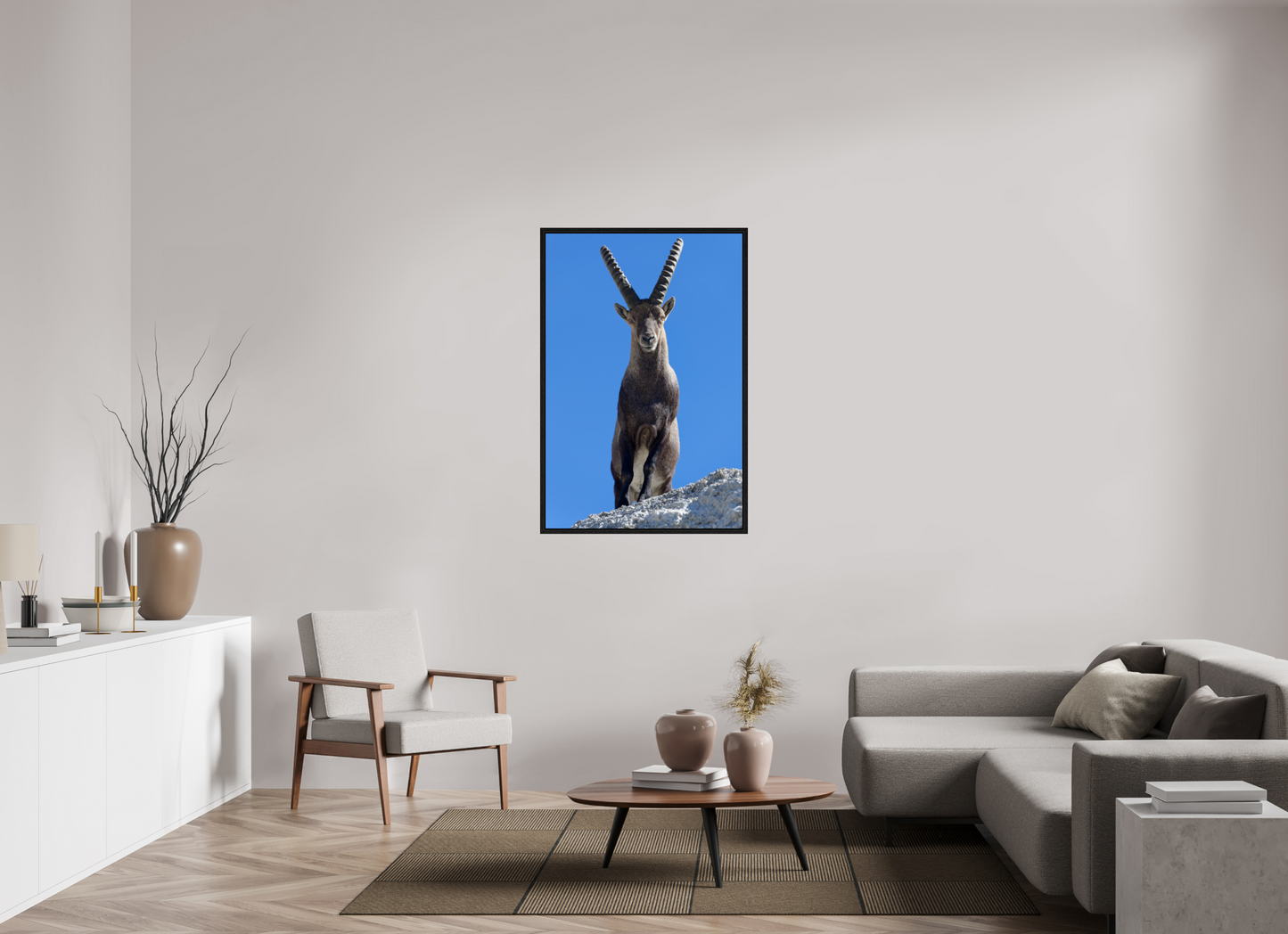 Bouquetin / Ibex