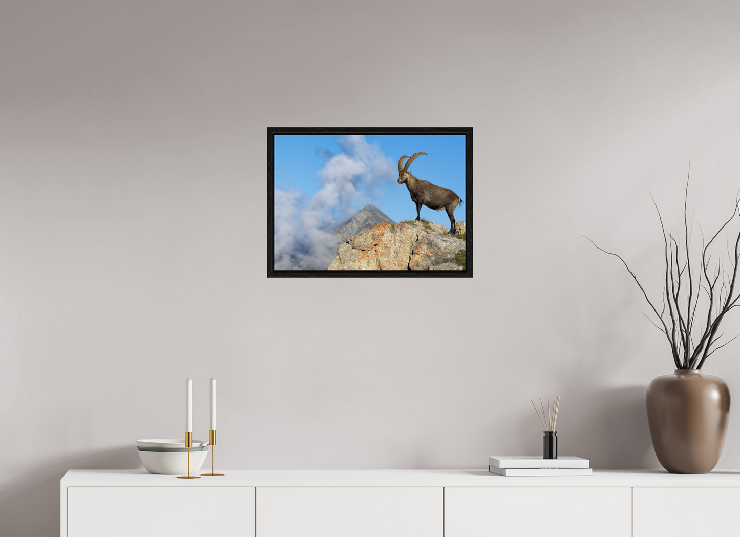 Bouquetin / Ibex
