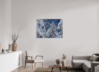 Hiver / Winter