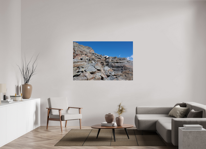 Bouquetin / Ibex