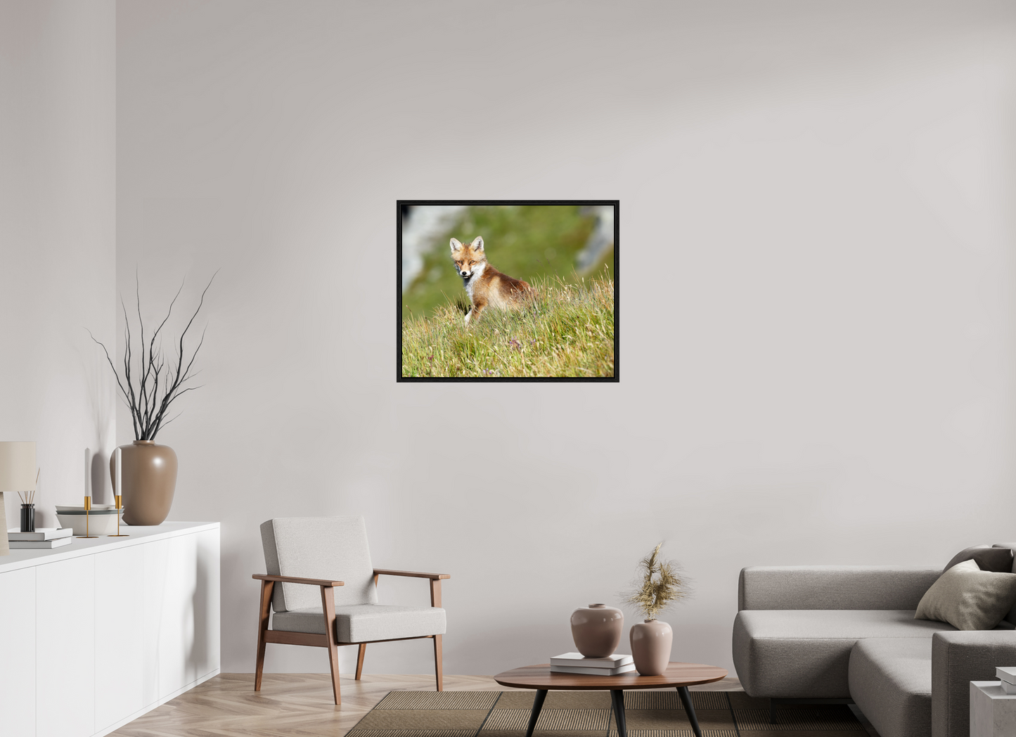 Autres animaux / Other animals