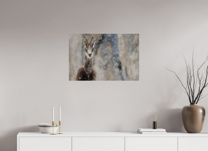 Chamois