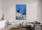 Bouquetin / Ibex