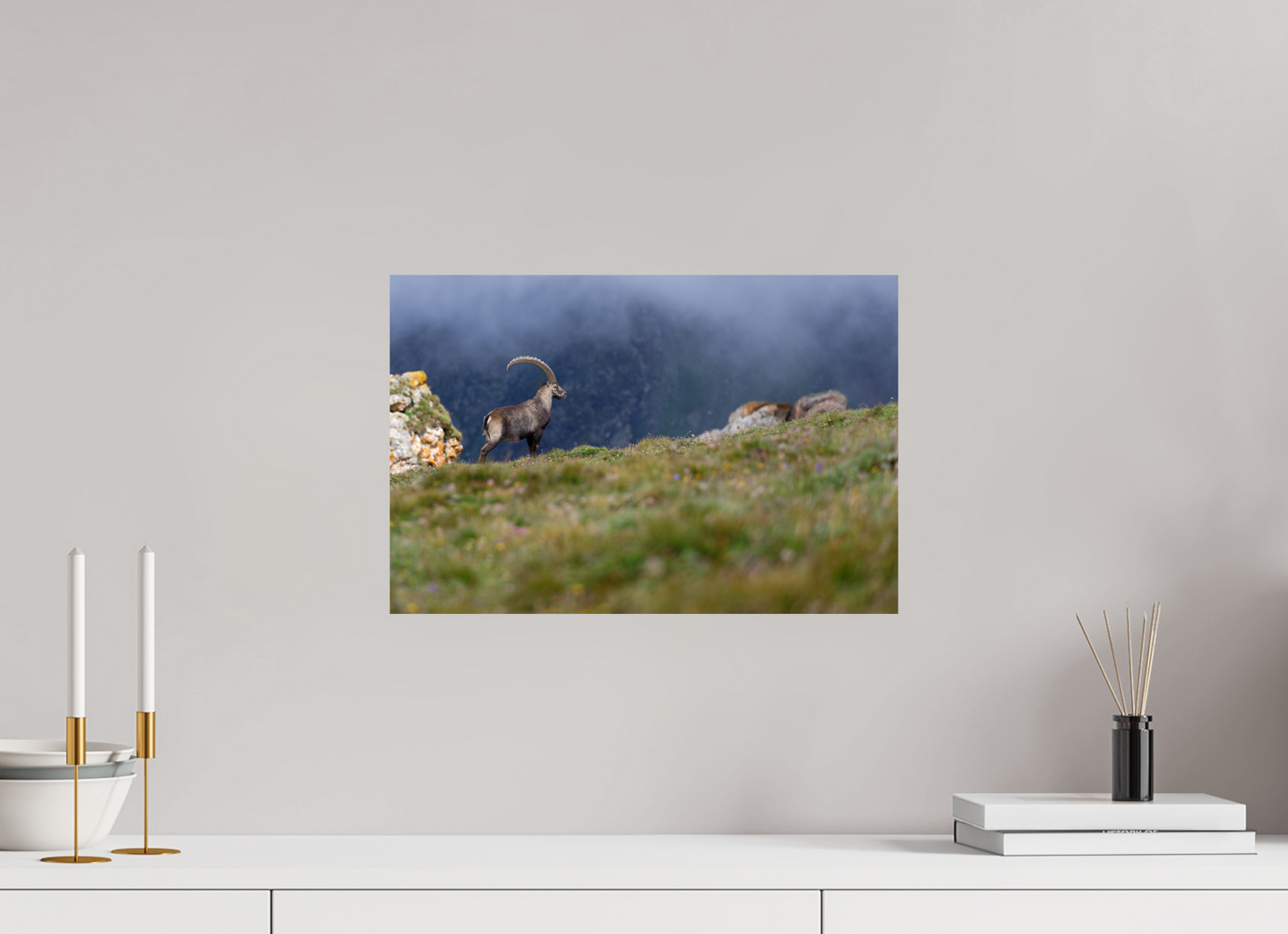 Bouquetin / Ibex