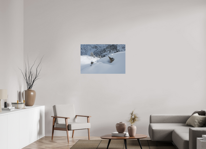 Hiver / Winter