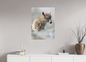 Bouquetin / Ibex