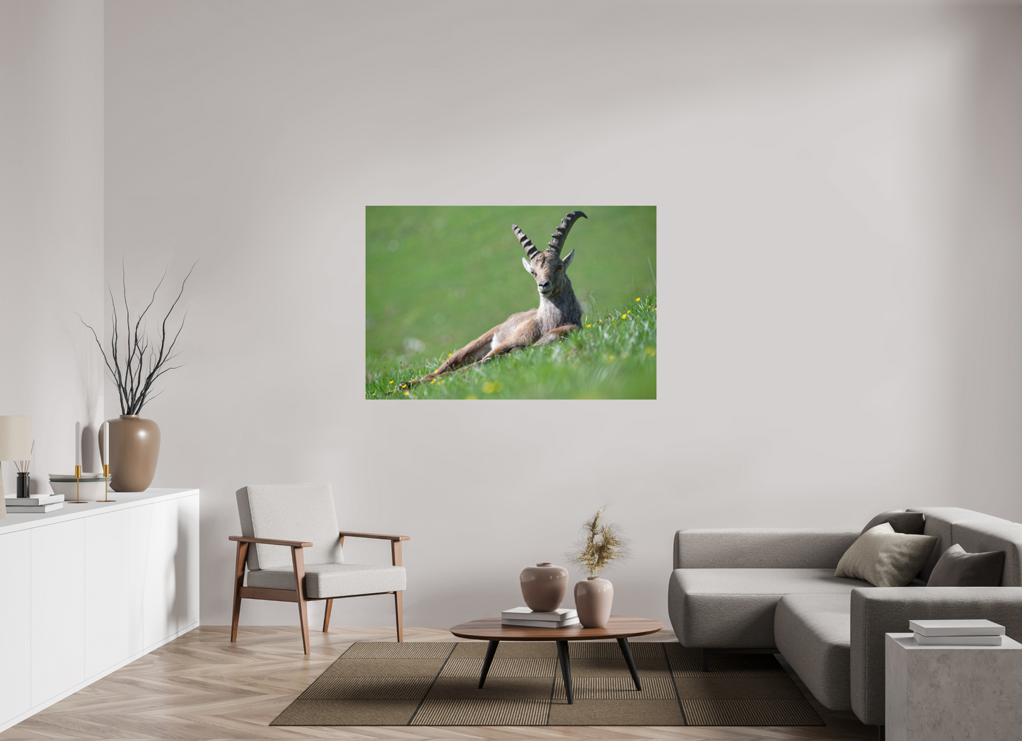 Bouquetin / Ibex