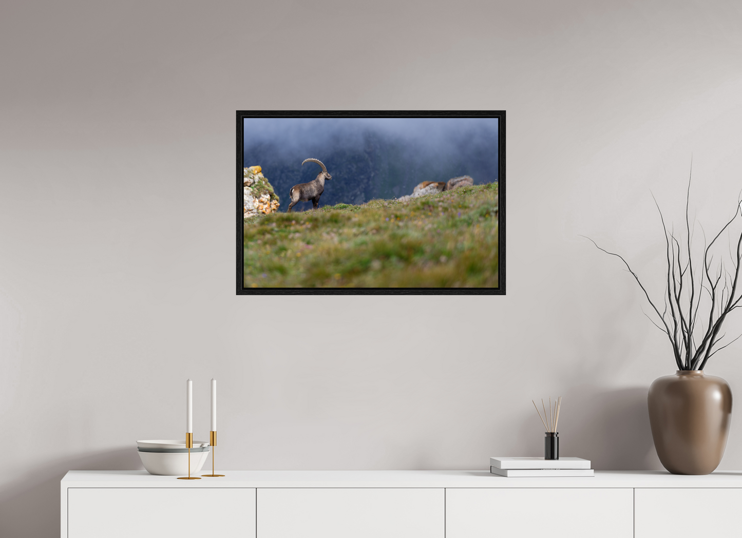 Bouquetin / Ibex