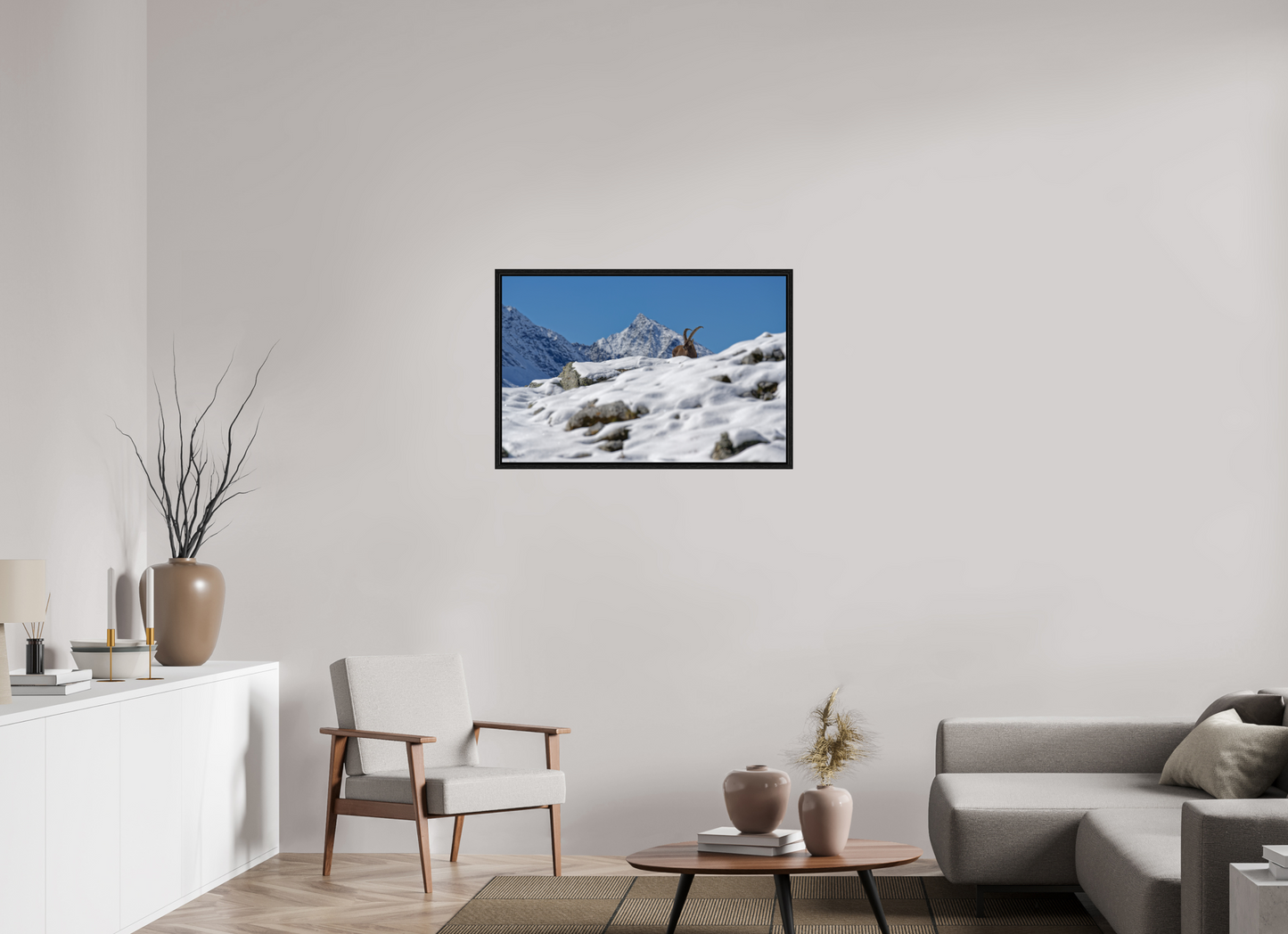 Bouquetin / Ibex
