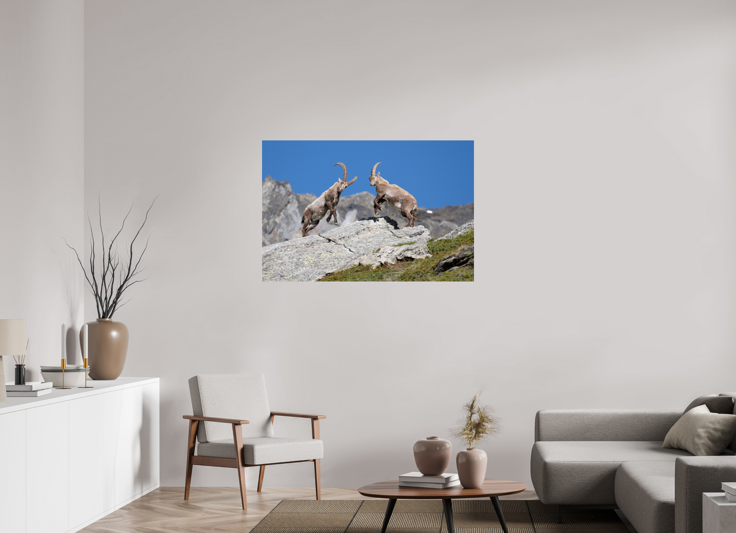 120 x 80 cm, Photo Print Under Acrylic Glass Bouquetin / Ibex