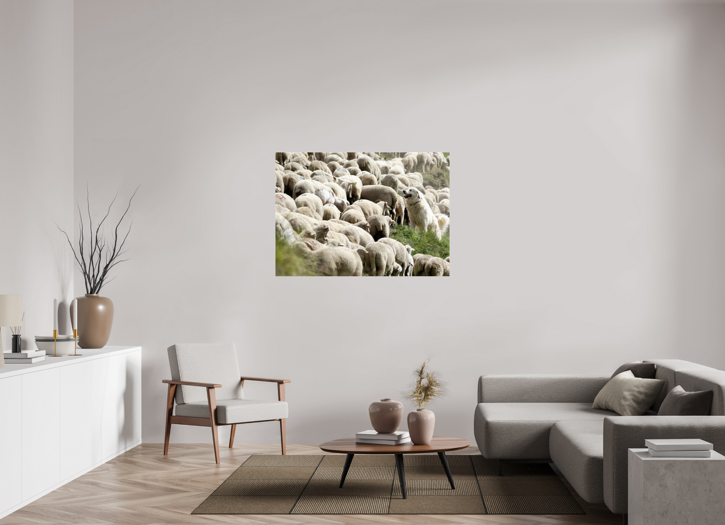 Autres animaux / Other animals
