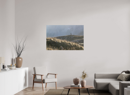 Bouquetin / Ibex