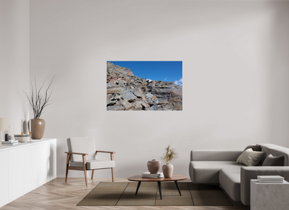 Bouquetin / Ibex