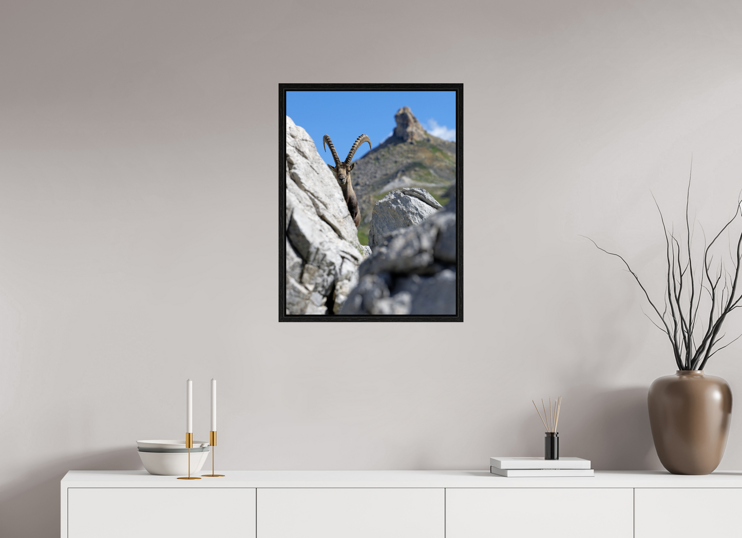 Bouquetin / Ibex