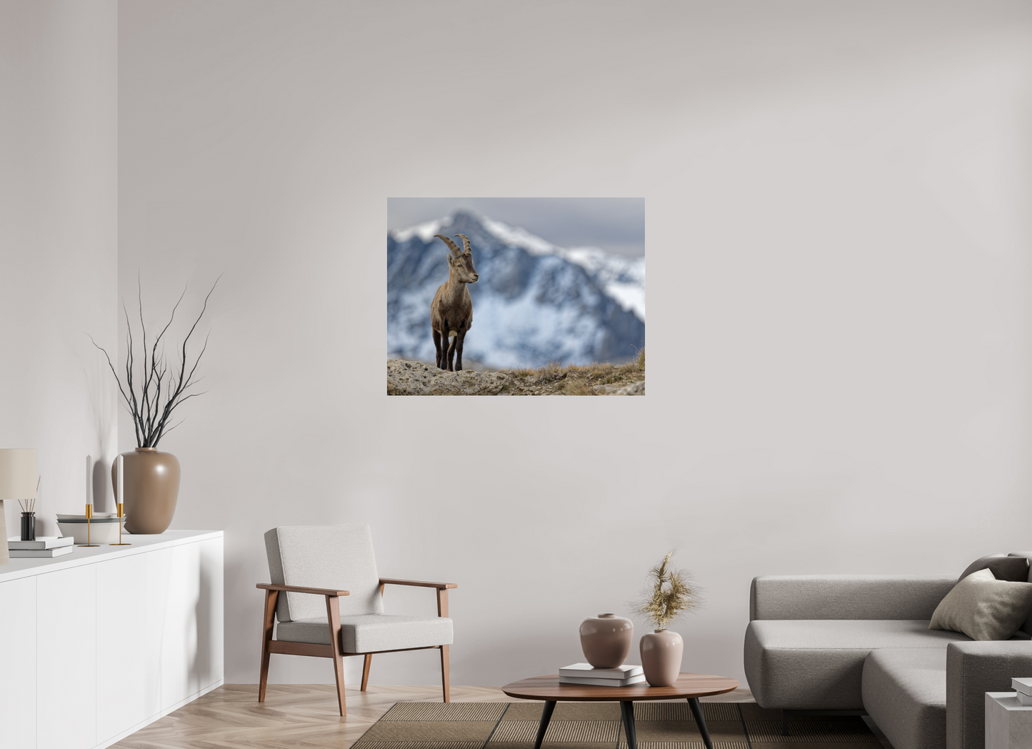 Bouquetin / Ibex