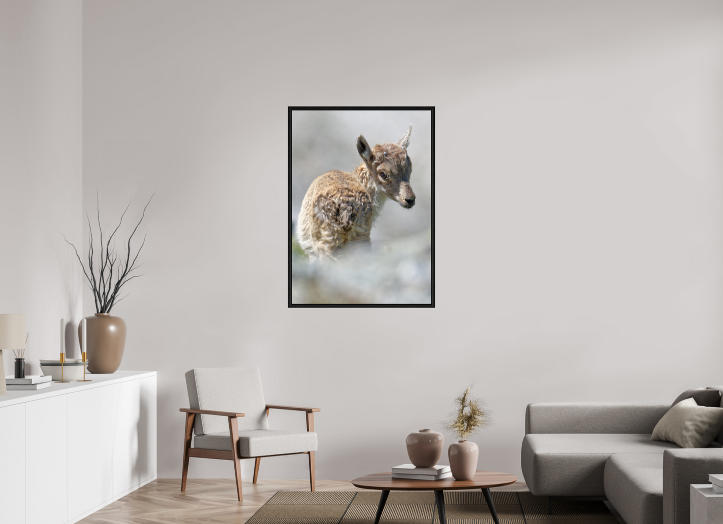 Bouquetin / Ibex