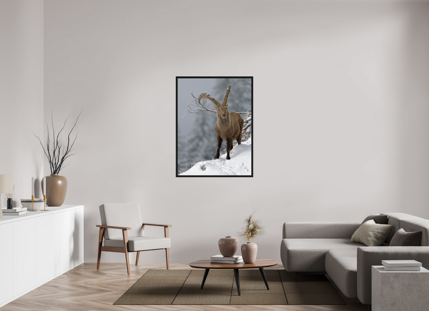 Bouquetin / Ibex