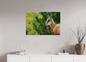 Chamois