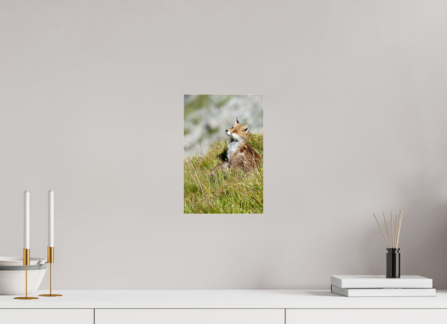 Autres animaux / Other animals