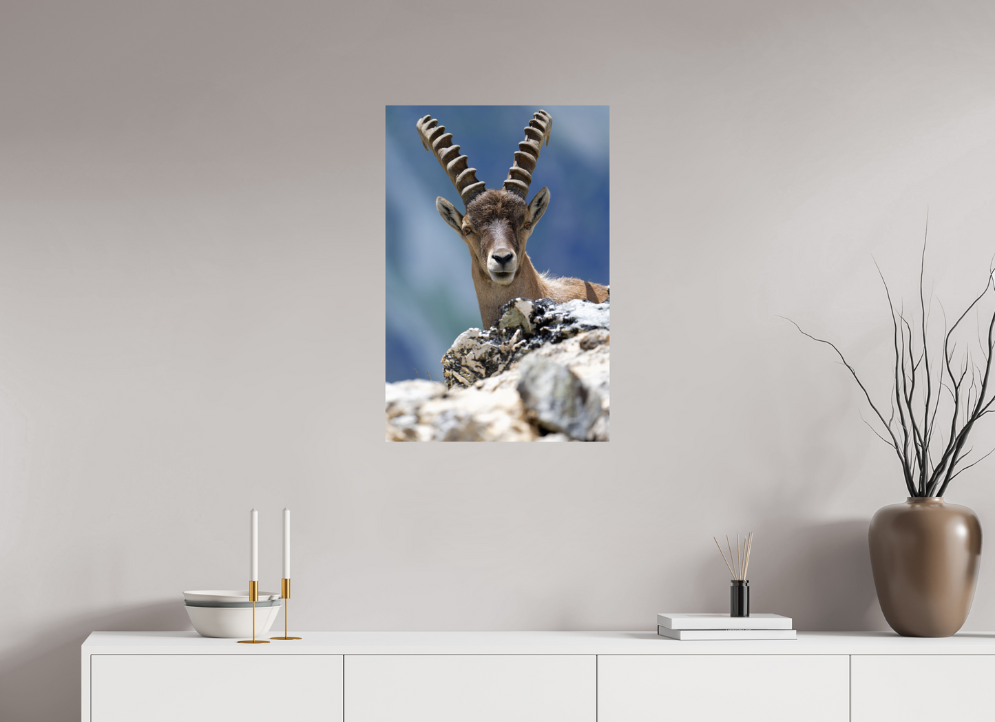 Bouquetin / Ibex